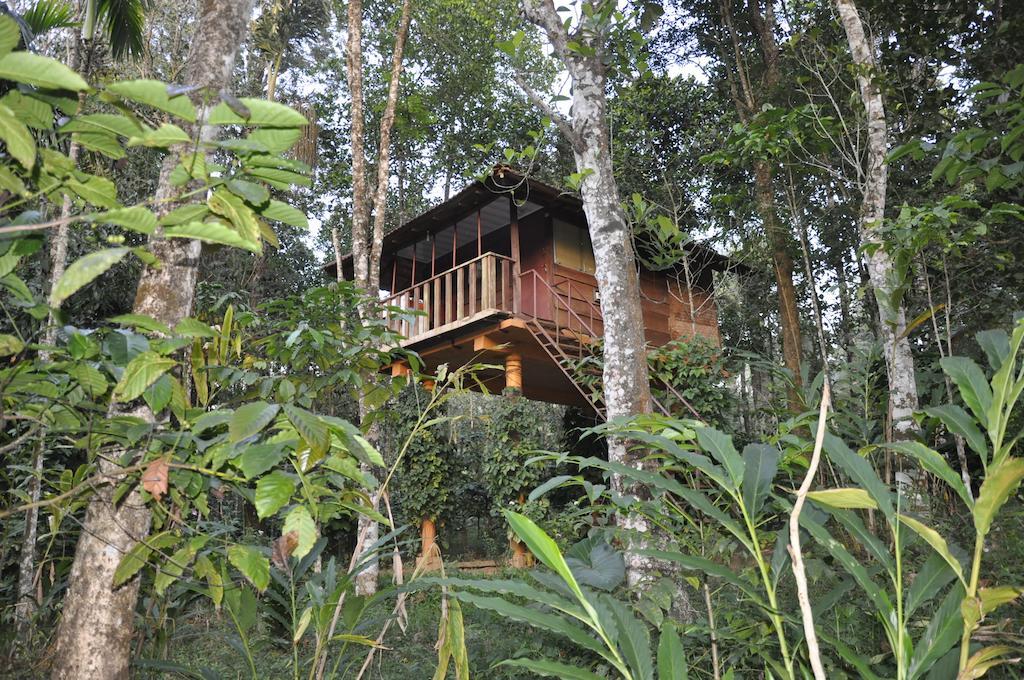 Sunbird Garden Resort Krishnagiri Rom bilde